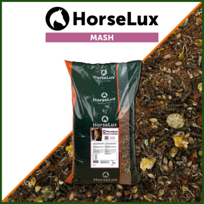 HorseLux Mash
