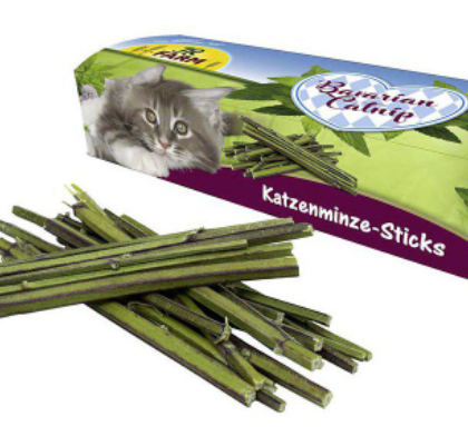 Katžolių lazdelės katėms